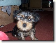 Na�e Roz�rka